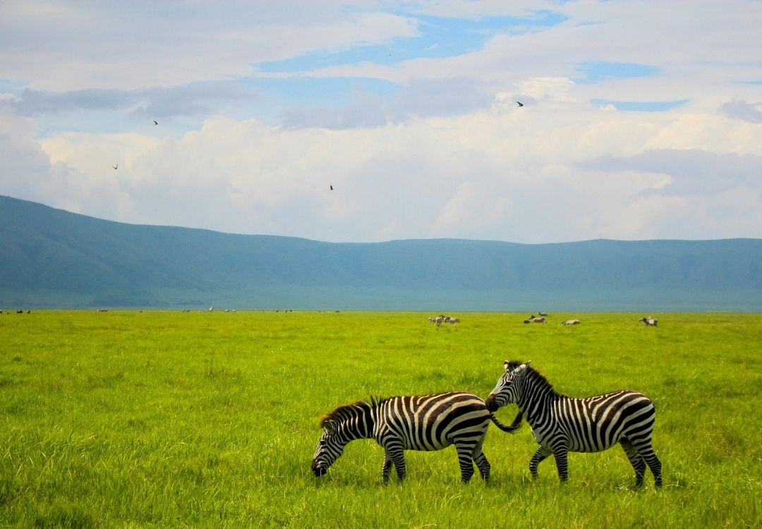 holidaytrips ngorongoro(1)