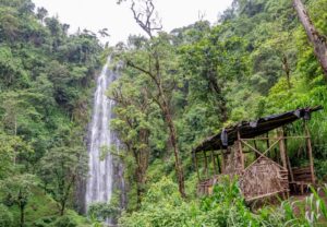 holidaytrips