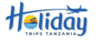 holiday trips tanzania logo
